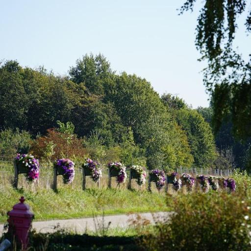 Vakantiehuis Rust In De Onruste Kamperland Luaran gambar